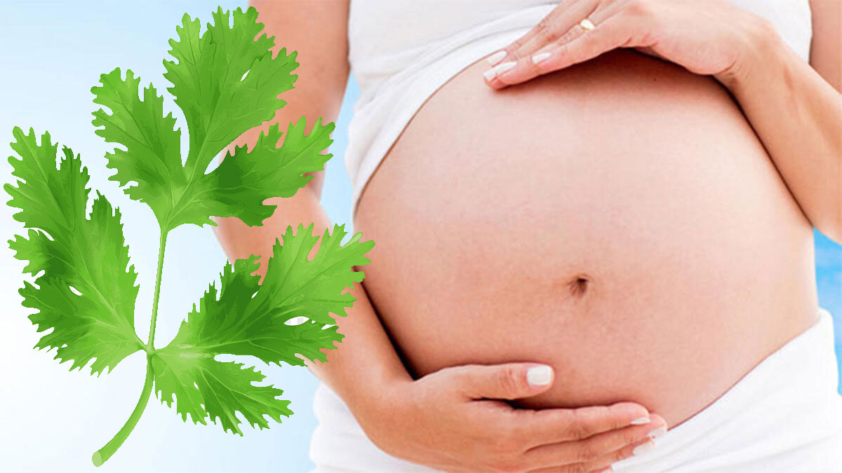 Hamilelikte Maydanoz Yenir Mi?