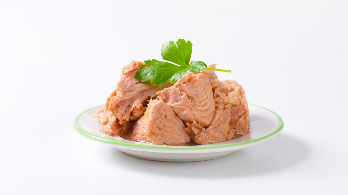 Hamilelikte Ton Balığı