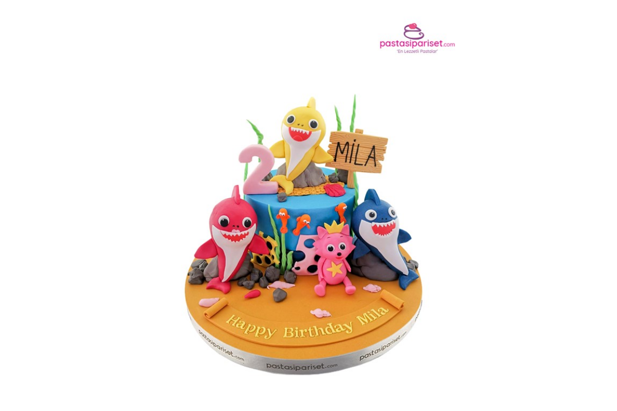 doğum günü pastası