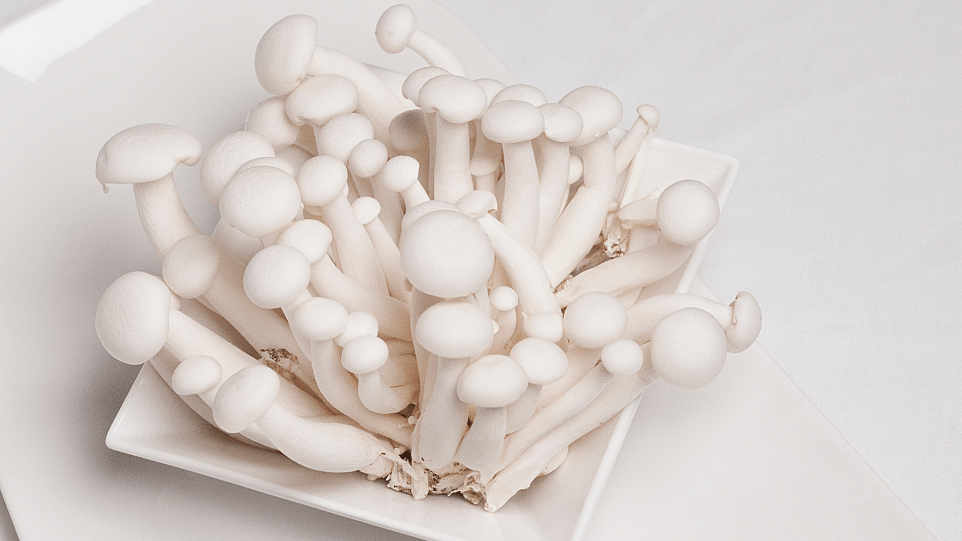 Bebeklere Mantar Verilir mi