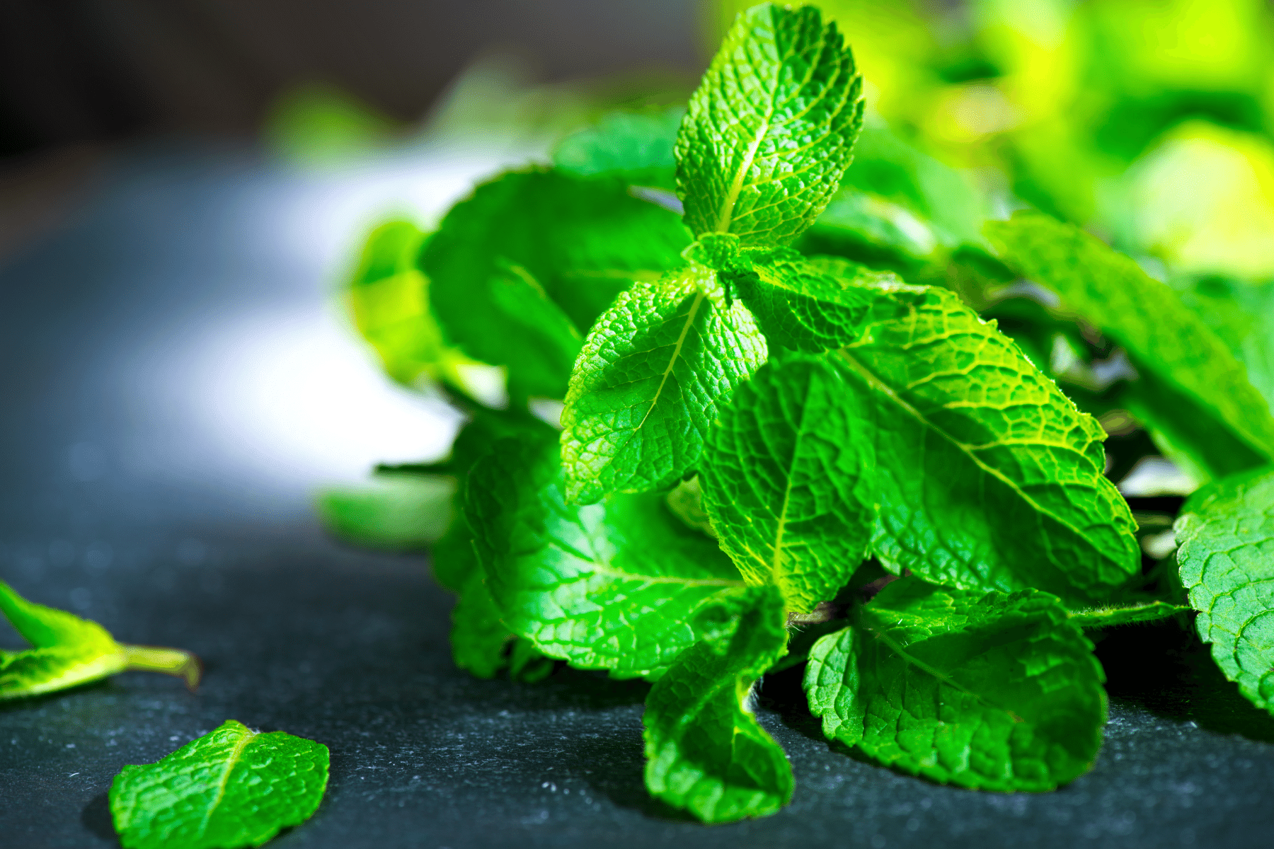 Hamilelikte Nane Yenir mi