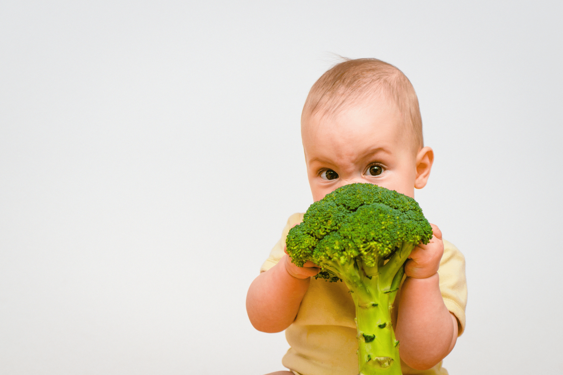 bebeklere brokoli ne zaman verilir_