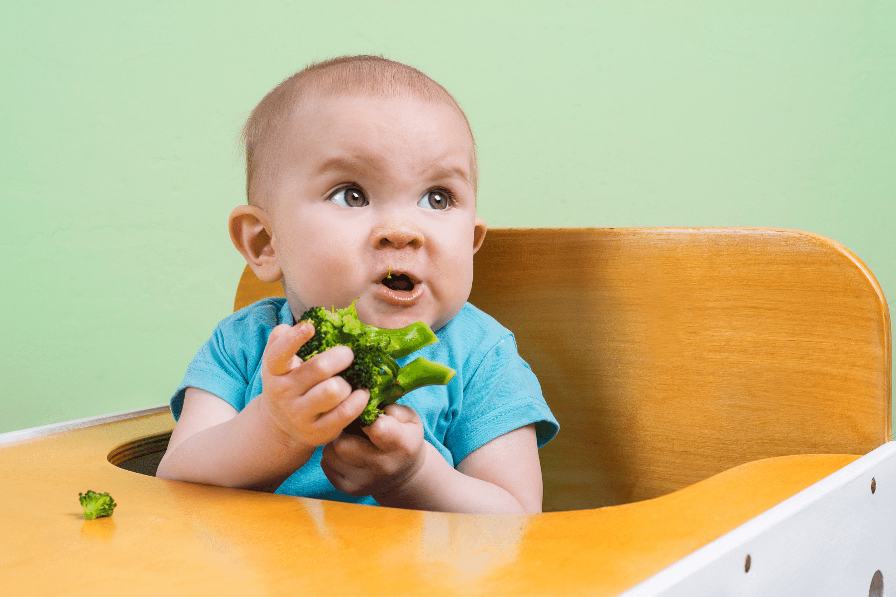 bebeklere brokoli faydaları 