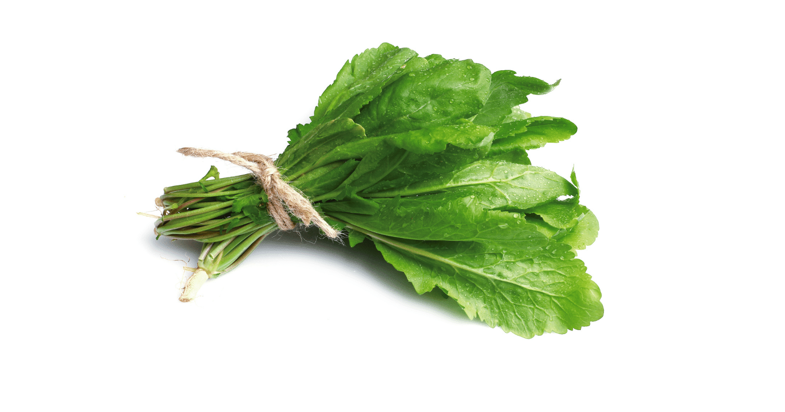 Hamilelikte Tere Yenir Mi?