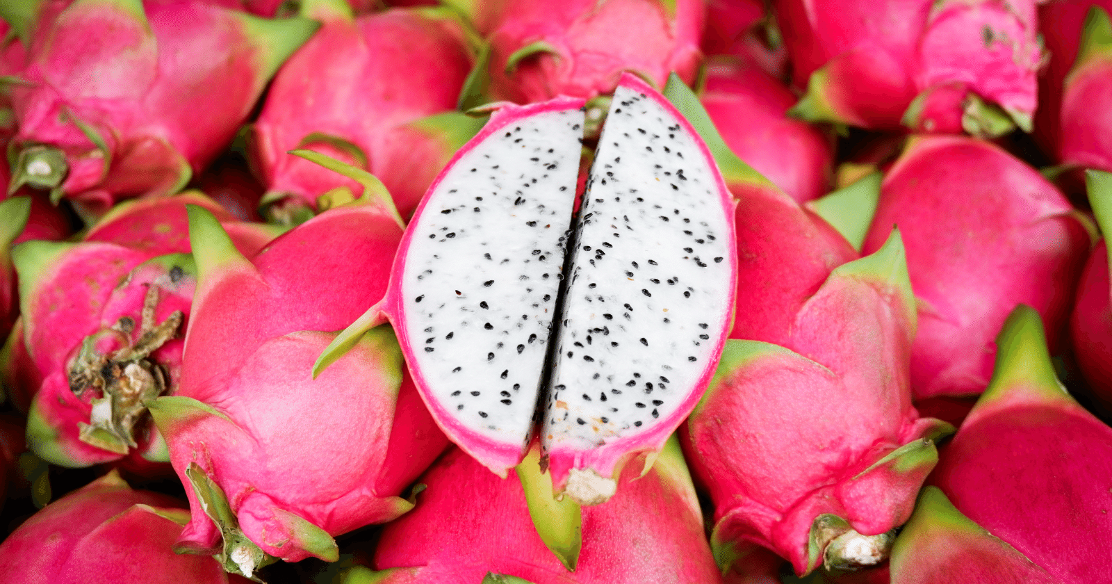 Hamilelikte Ejder Meyvesi Yenir Mi 1