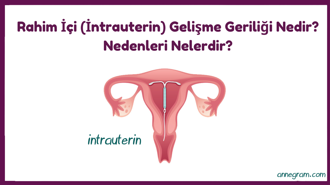 Rahim İçi (İntrauterin) Gelişme Geriliği Nedir